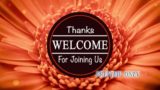 Read more about the article Floral Welcome Motion For Summertime