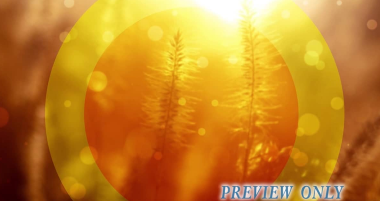 Read more about the article Summer Grass Worship Motion Graphics