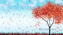 Read more about the article Still: Autumn Red Tree