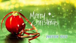 Read more about the article Still: Green Merry Christmas