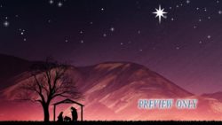 Read more about the article Baby Jesus: Christmas Nativity Scene
