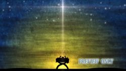 Read more about the article Miracle At Night: Baby In Manger