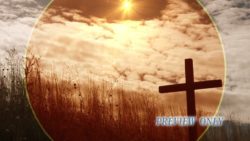Read more about the article Still Background: Easter Cross In Field