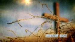 Read more about the article Still Backgrounds: Easter Cross And Thorns