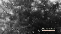 Read more about the article Rain Drops Black And White Motion