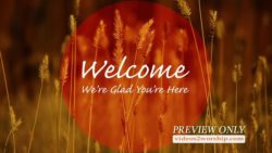Read more about the article Still: Autumn Welcome