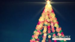 Read more about the article Free Abstract Christmas Tree Background Video Loop