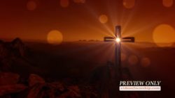 Read more about the article Cross And Sunlight Easter Media