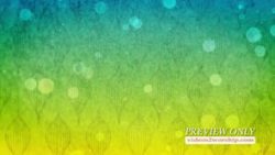 Read more about the article Still: Vintage Background Image