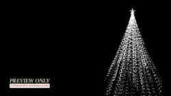 Read more about the article Abstract White Christmas Tree Loop