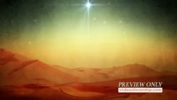 Read more about the article Still:Christmas Star