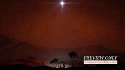 Read more about the article Still: Christmas Night