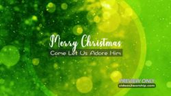 Read more about the article Still: Merry Christmas