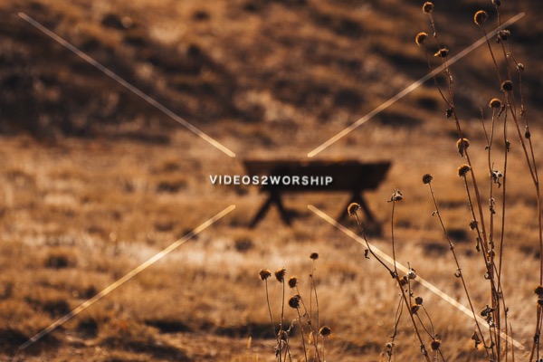 Read more about the article Stock Photography Blurred Manger