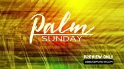 Read more about the article Palm Sunday Text Background