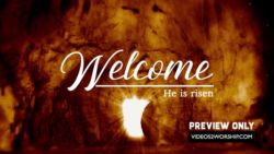 Read more about the article Easter Welcome Background Video