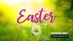 Read more about the article Still: Easter Title Image