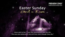 Read more about the article Still: Christ Is Risen