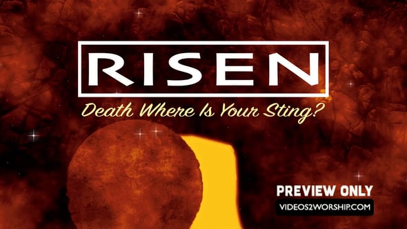Read more about the article Still: Risen Text Background