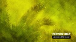 Read more about the article Still: Palm Branch