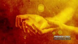 Read more about the article Still: Open Hands