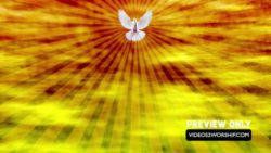Read more about the article Pentecost White Dove Background