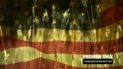 Read more about the article American Flag And Grass Motion Backdrop
