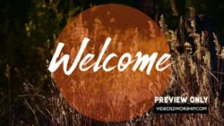Read more about the article Tall Grass Welcome Motion Worship