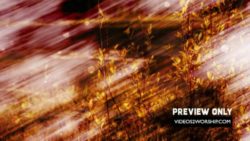 Read more about the article Grunge Autumn Textured Background Loop
