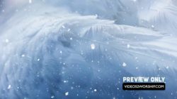 Read more about the article Angel Wings Christmas Graphics Motion Loop