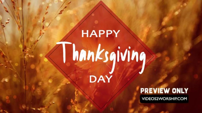 Read more about the article Still: Happy Thanksgiving