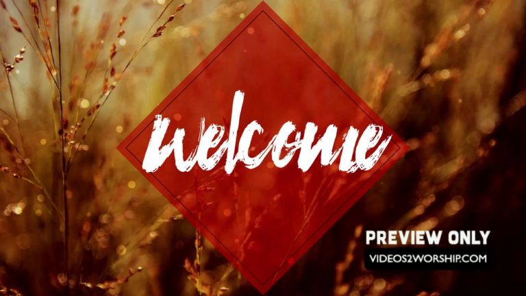 Read more about the article Still: Nature Welcome