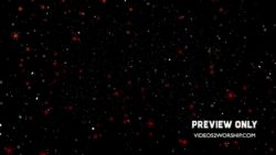 Read more about the article Stars And Snow Christmas Background Loop