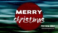 Read more about the article Still: Merry Christmas