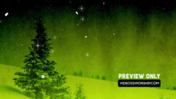 Read more about the article Still: Christmas Tree