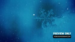 Read more about the article Still: Snow Flake