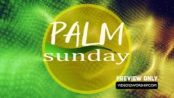 Read more about the article Green Palm Sunday Graphics Title Loop