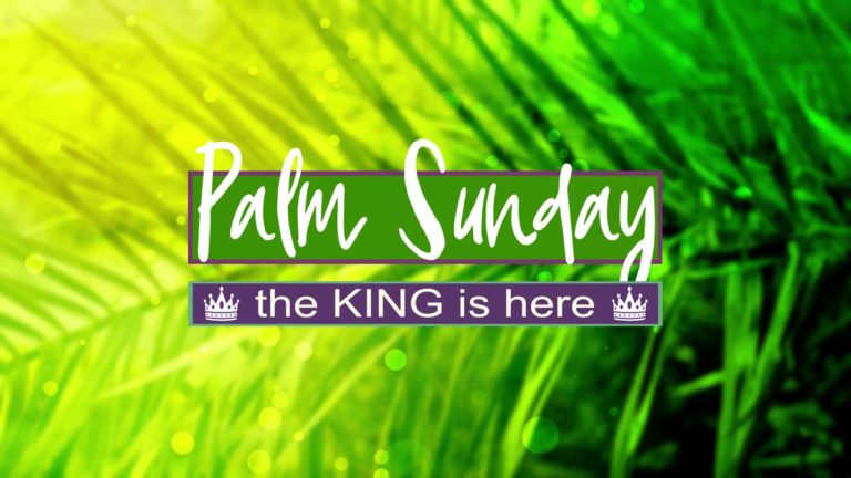 Read more about the article Palm Tree Branch And Text Sunday Graphics