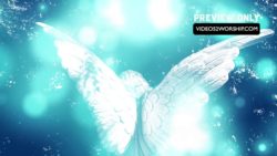 Read more about the article Still: Angel Wings
