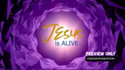 Read more about the article Still: Jesus Lives
