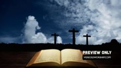 Read more about the article Still: Bible And Cross