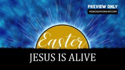 Read more about the article Still: Jesus Is Alive