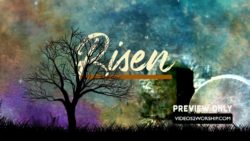 Read more about the article Still: Risen Title