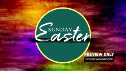 Read more about the article Still: Easter Sunday Title