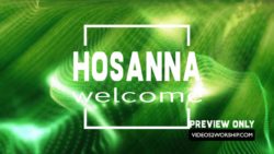 Read more about the article Hosanna Palm Sunday Green Worship Loop
