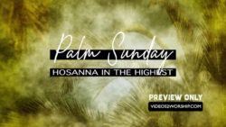Read more about the article Still: Hosanna Palm Sunday