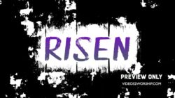Read more about the article Still: Risen Image