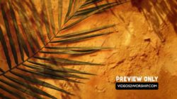 Read more about the article Still: Palm Branch Textured