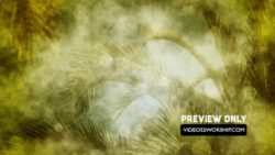 Read more about the article Still: Textured Palm Branches