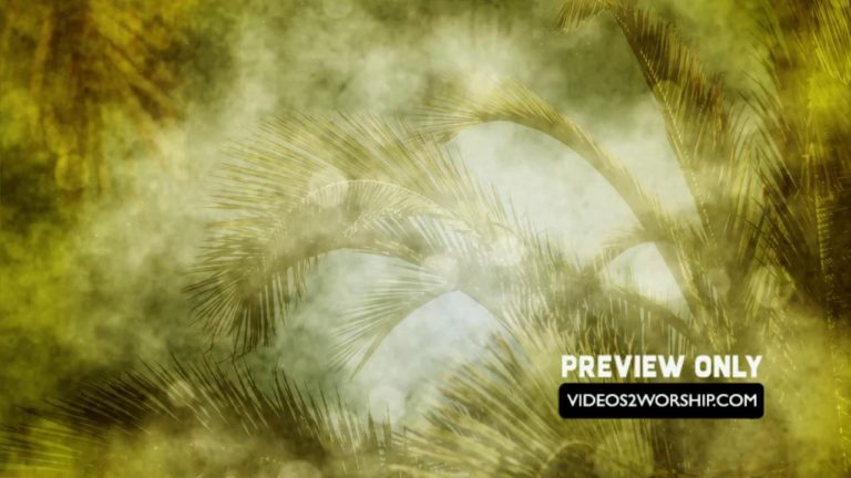 Read more about the article Still: Textured Palm Branches